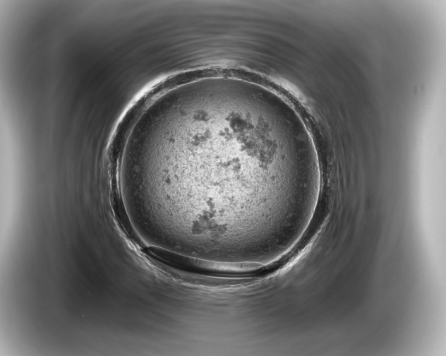 X0000085751118200703161048
