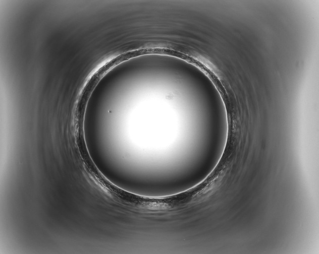 X0000085751119200703161048