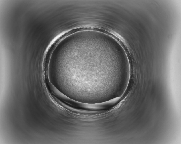 X0000085751120200703161048