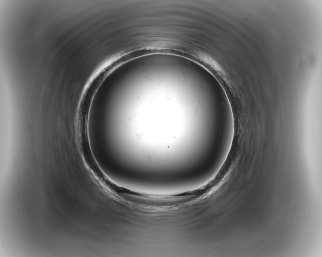 X0000085751122200703161048