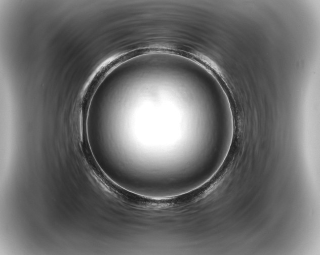 X0000085751123200703161048