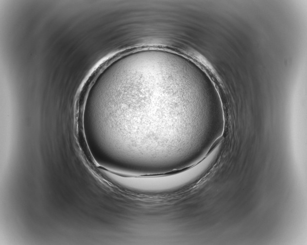 X0000085751124200703161048