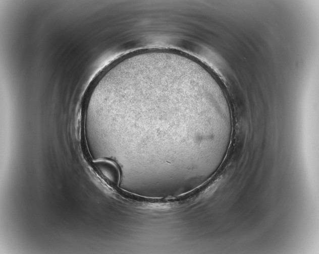 X0000085751126200703161048