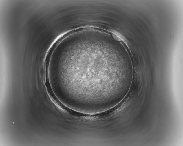 X0000085751127200703161048