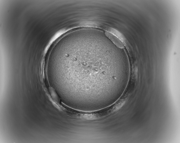 X0000085751128200703161048