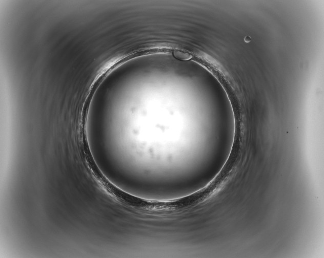X0000085751129200703161048