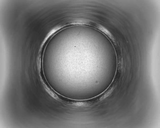 X0000085751130200703161048