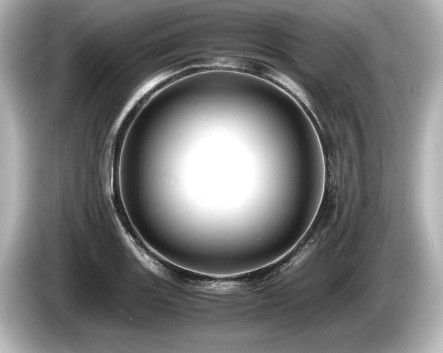 X0000085751131200703161048