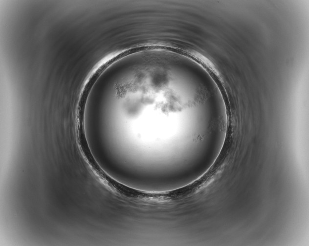 X0000085751133200703161048