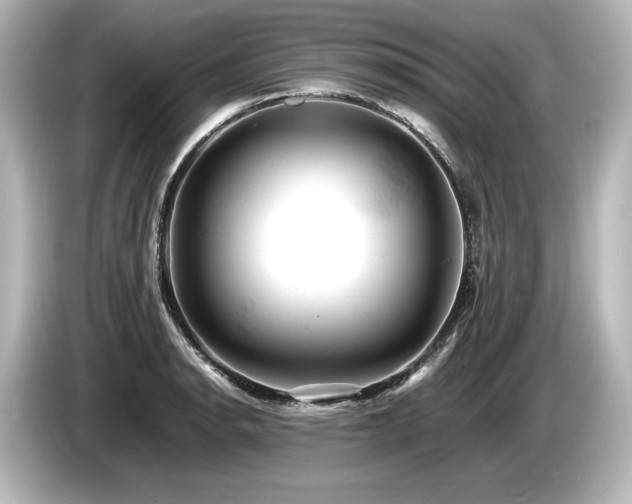 X0000085751134200703161048