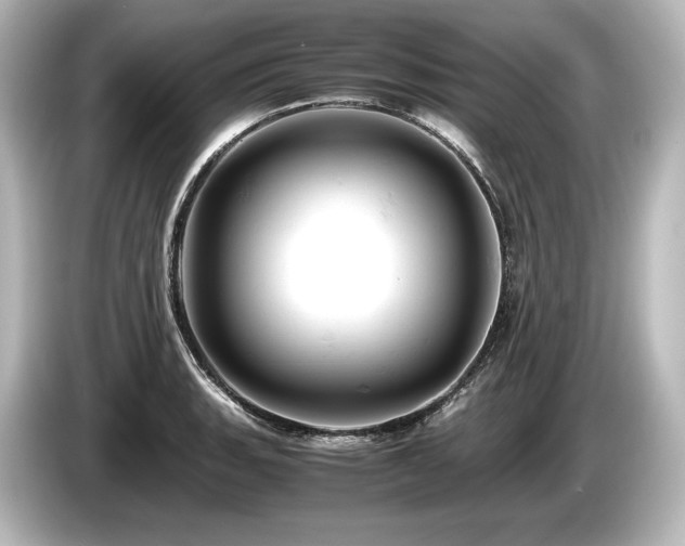 X0000085751135200703161048