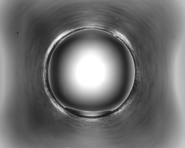 X0000085751136200703161048