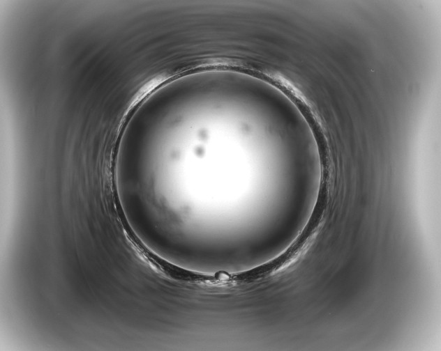 X0000085751137200703161048