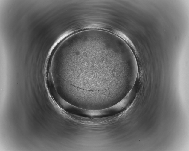 X0000085751138200703161048
