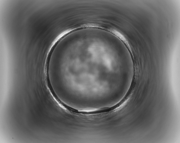 X0000085751141200703161048