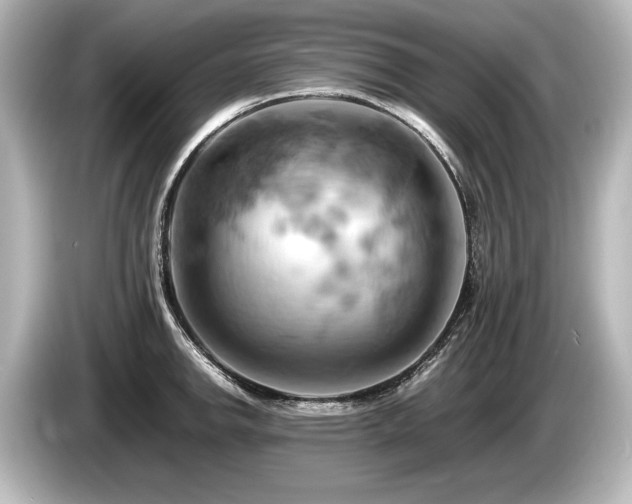 X0000085751142200703161048