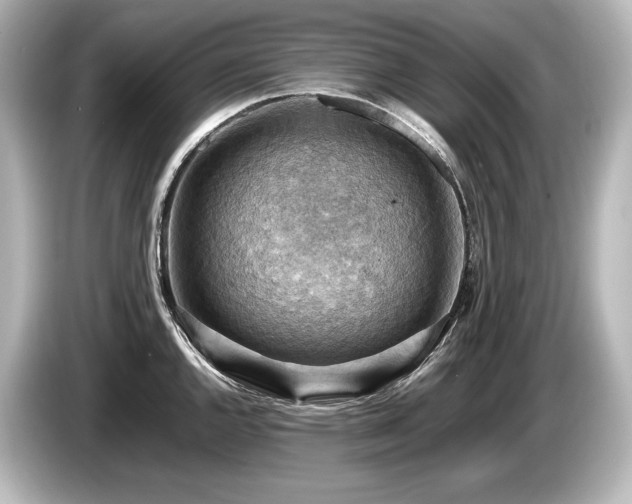 X0000085751144200703161048