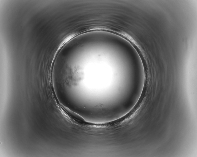 X0000085751145200703161049