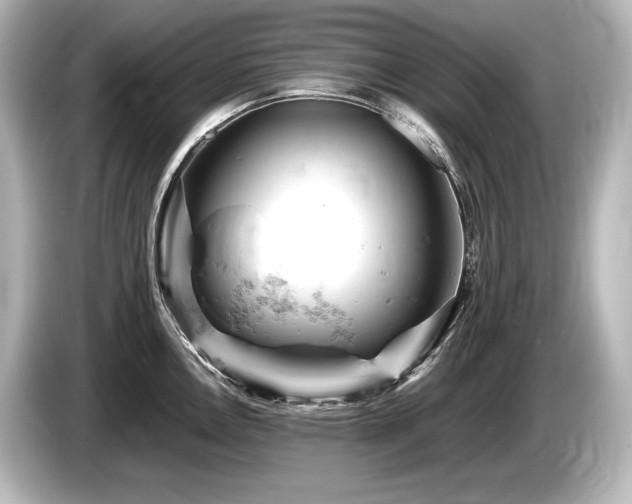 X0000085751146200703161049