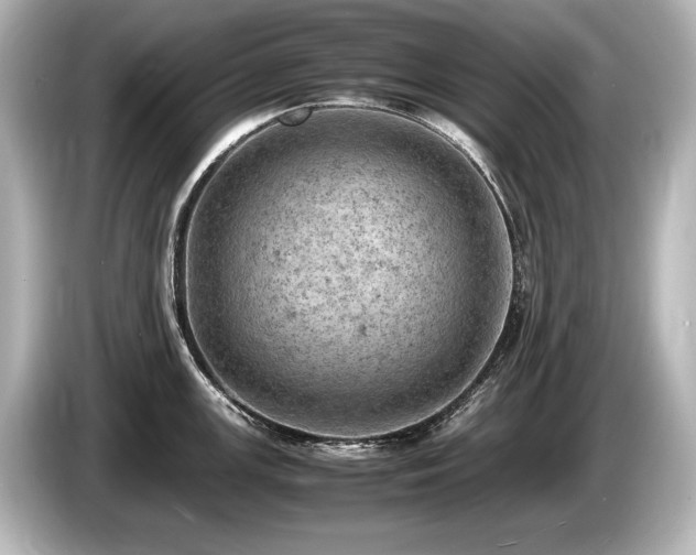 X0000085751147200703161049