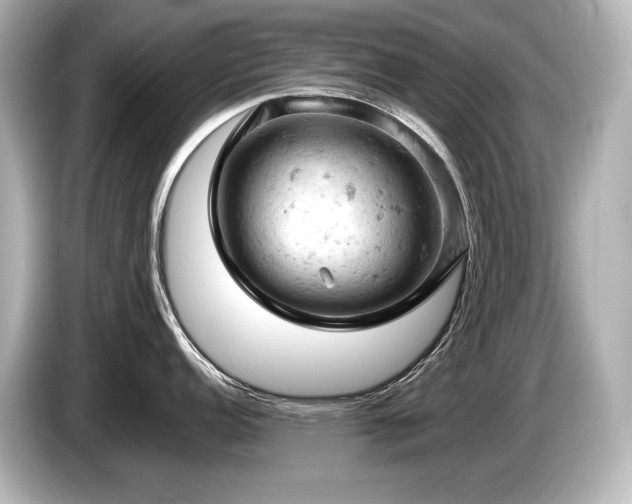 X0000085751152200703161049