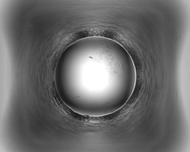 X0000085751153200703161048