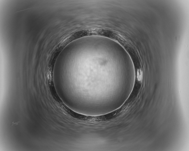 X0000085751155200703161048