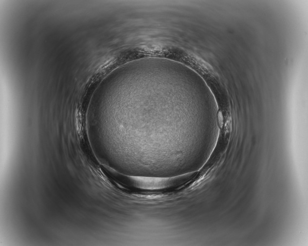 X0000085751156200703161048
