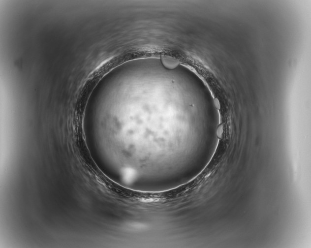 X0000085751158200703161047