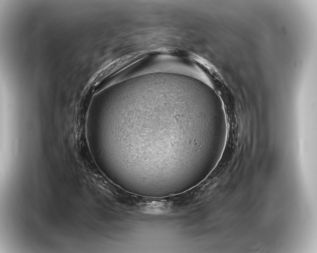 X0000085751160200703161047