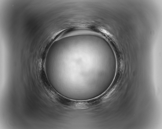 X0000085751161200703161047