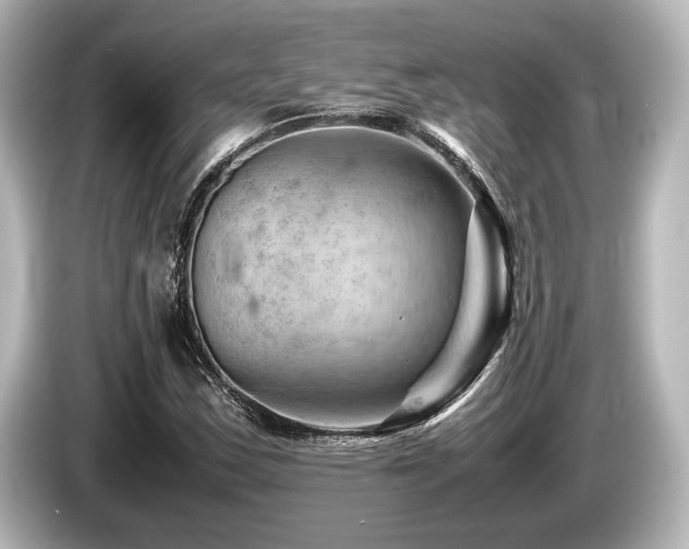 X0000085751163200703161047