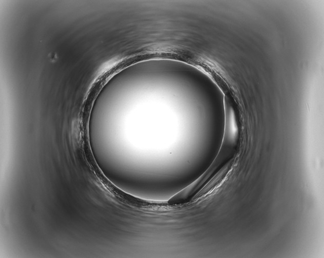X0000085751164200703161047