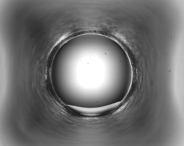 X0000085751165200703161047