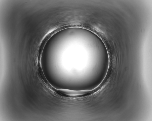 X0000085751166200703161047