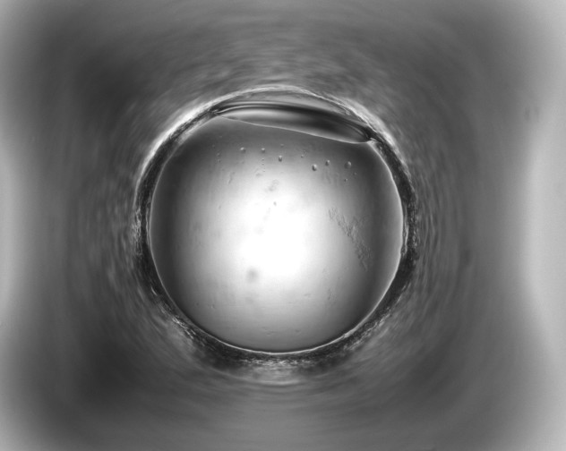 X0000085751167200703161047