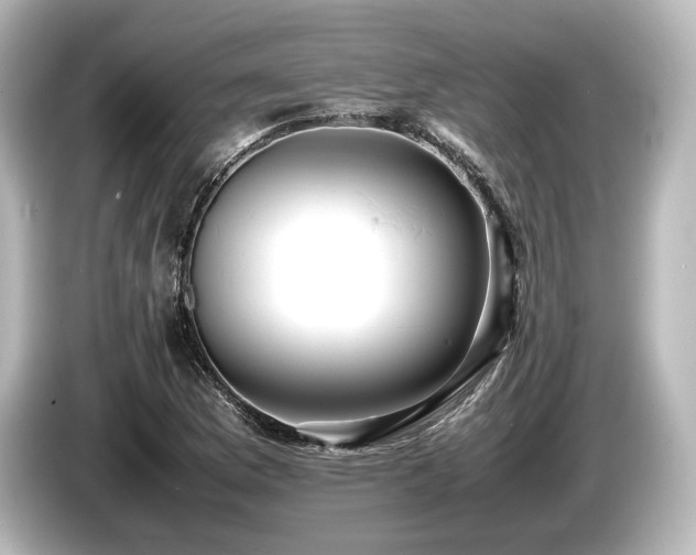 X0000085751169200703161047
