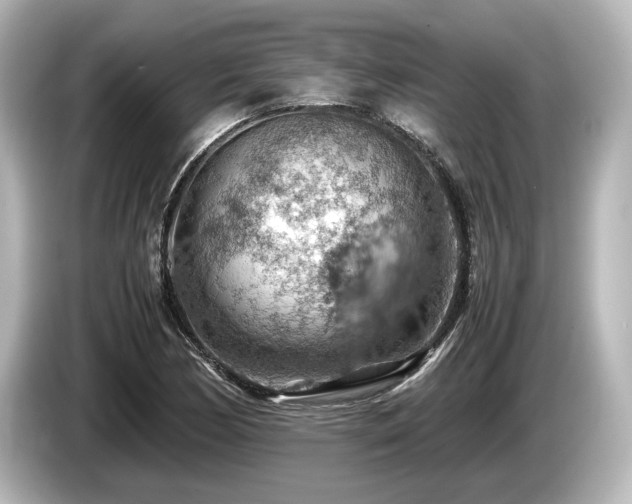 X0000085751170200703161047