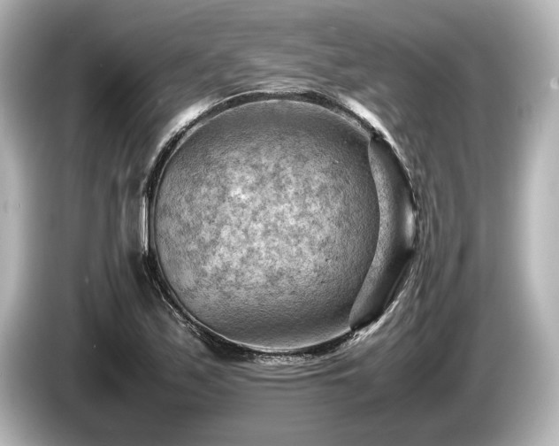 X0000085751171200703161047