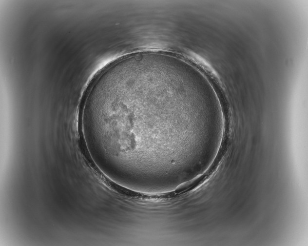 X0000085751174200703161047