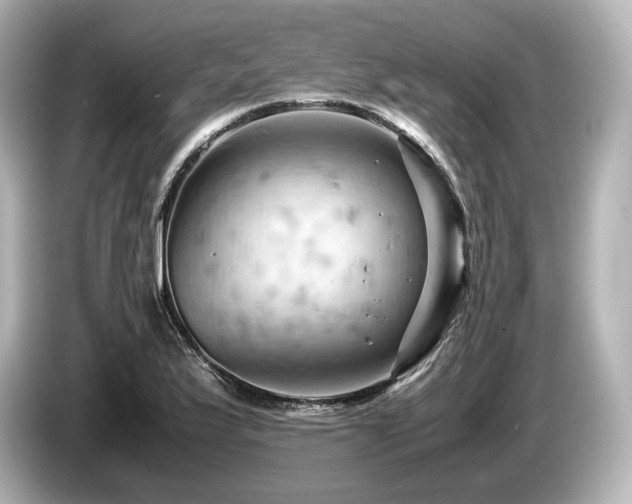 X0000085751175200703161047