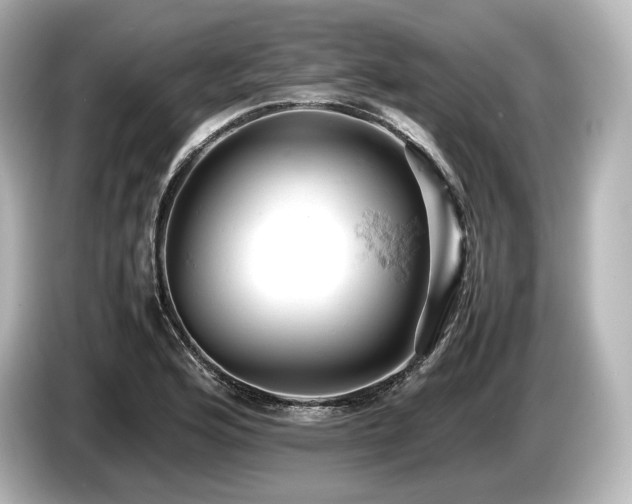 X0000085751176200703161047
