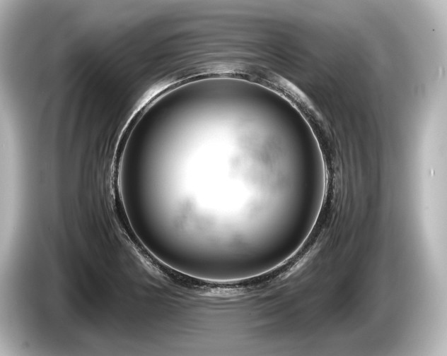 X0000085751178200703161047