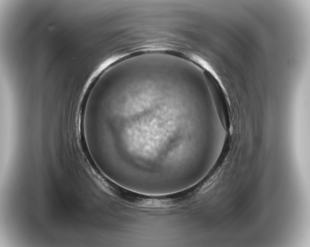 X0000085751179200703161047