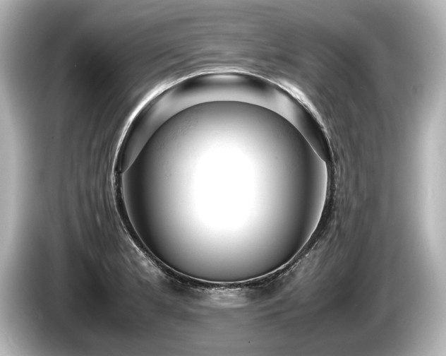 X0000085751181200703161047