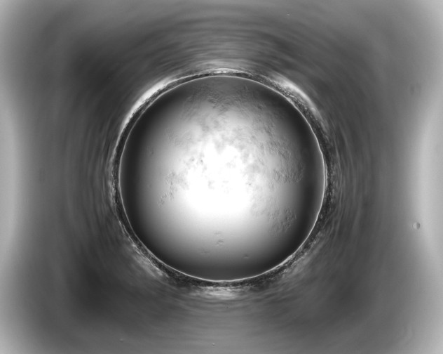 X0000085751182200703161047