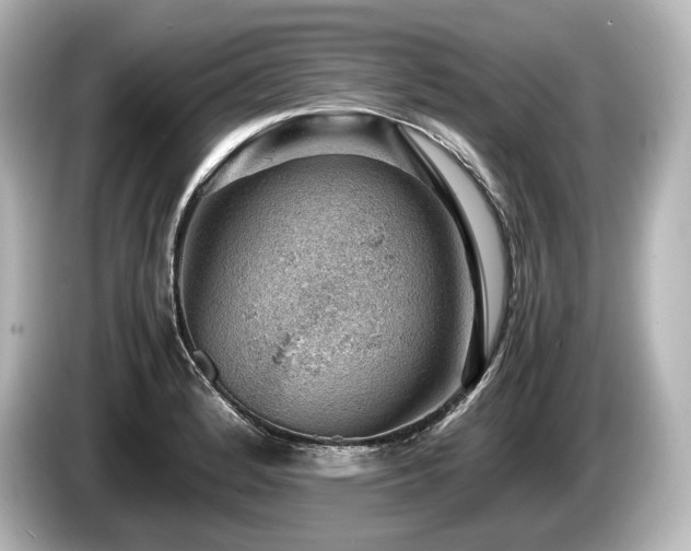 X0000085751184200703161047