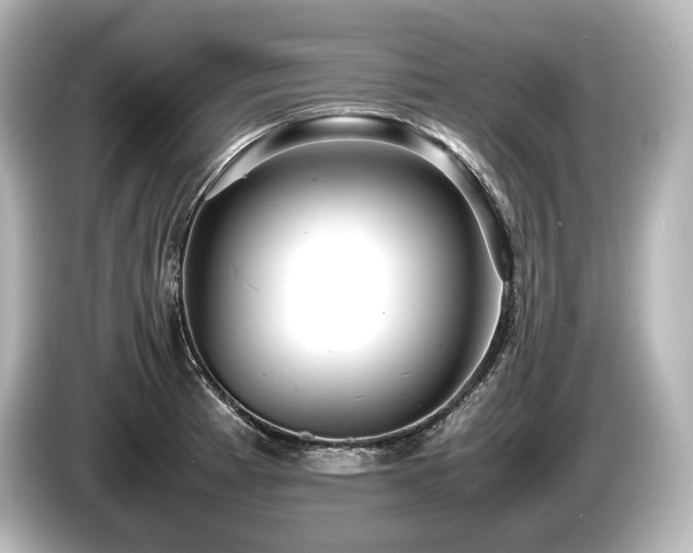 X0000085751185200703161047