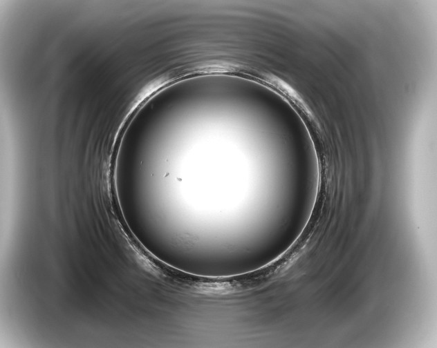 X0000085751186200703161047
