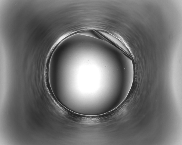 X0000085751187200703161047